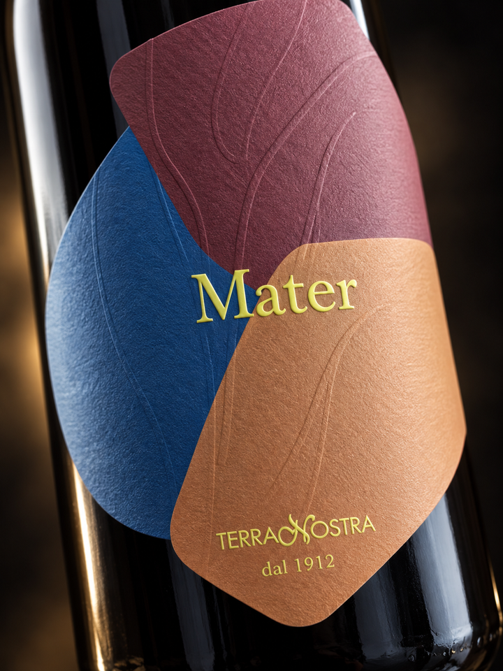 Syrah – Rosso Salento 2023 – 14% Vol.